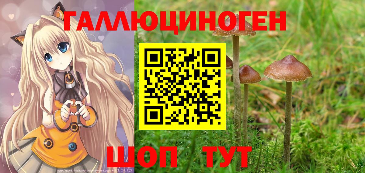 Галлюциногенные грибы мухоморы  Галлюциногенные грибы мухоморы  что такое наркотик  Вход с VPN  Саянск 